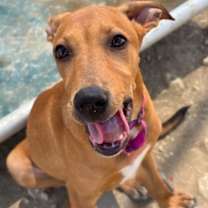 Thumbnail photo of Kramer #3