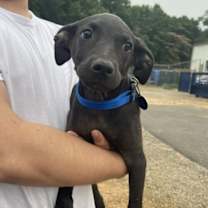 Thumbnail photo of Vista #3