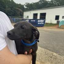 Thumbnail photo of Vista #4