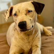 Thumbnail photo of Betty #1