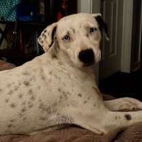 Thumbnail photo of Betty #2