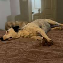 Thumbnail photo of Betty #3