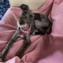 Thumbnail photo of MAIBEL #1