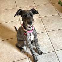 Thumbnail photo of MAIBEL #2