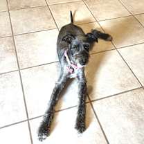 Thumbnail photo of MAIBEL #4