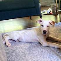 Thumbnail photo of Twix #3