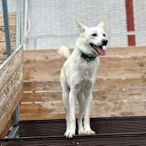 Thumbnail photo of CREW #4