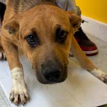 Thumbnail photo of London #3