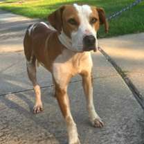 Thumbnail photo of Oliver #1