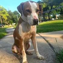 Thumbnail photo of Oliver #2