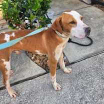 Thumbnail photo of Oliver #3