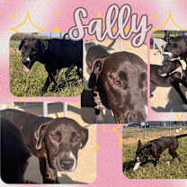 Thumbnail photo of Sally #1