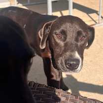 Thumbnail photo of Sally #2