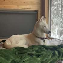 Thumbnail photo of Storm #1