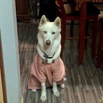 Thumbnail photo of Storm #3