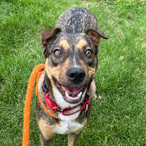 Thumbnail photo of Rhonda #1