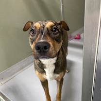 Thumbnail photo of Rhonda #2