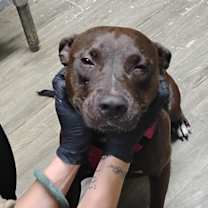 Thumbnail photo of Nassau #2