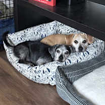 Thumbnail photo of Ben and Jerry #1