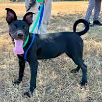 Thumbnail photo of Penelope #1