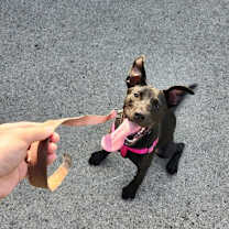 Thumbnail photo of Penelope #3