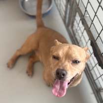 Thumbnail photo of Mojito #1