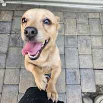 Thumbnail photo of Mojito #2