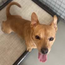 Thumbnail photo of Mojito #3