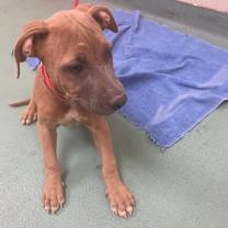 Thumbnail photo of Endorphins  #1