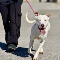 Thumbnail photo of Vada #4