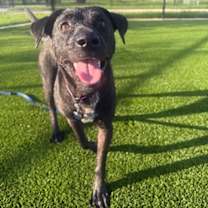 Thumbnail photo of Erika #3