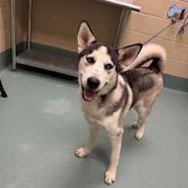 Thumbnail photo of Alaska #3