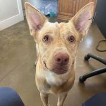 Thumbnail photo of Raffi #2