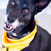 Thumbnail photo of Rider #2