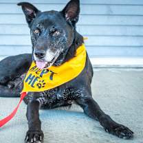 Thumbnail photo of Rider #3