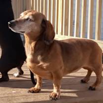 Thumbnail photo of Oskar #3