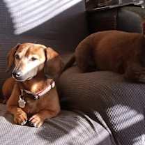 Thumbnail photo of Oskar #4