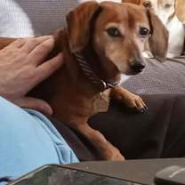 Thumbnail photo of Oskar #4