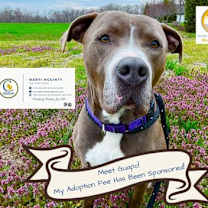 Thumbnail photo of Guapo #3