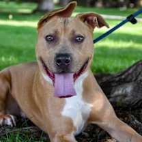 Thumbnail photo of Roxy #1