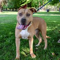 Thumbnail photo of Roxy #2