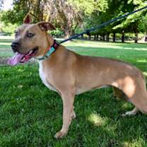 Thumbnail photo of Roxy #3