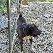 Thumbnail photo of Zuko #1