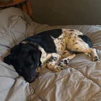 Thumbnail photo of Zipline #3