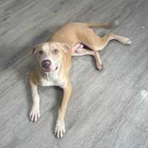 Thumbnail photo of Deuce #3