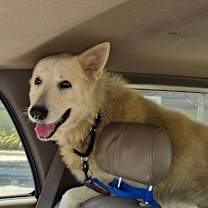 Thumbnail photo of Calix #1