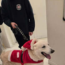 Thumbnail photo of Calix #2