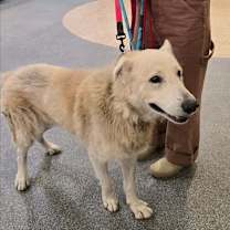 Thumbnail photo of Calix #4