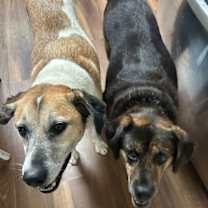 Thumbnail photo of MADDIE #3