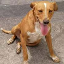 Thumbnail photo of Josephina #1